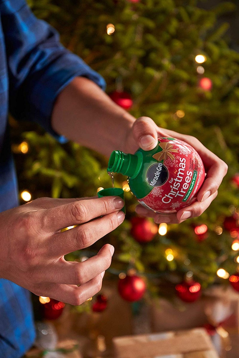 Miracle-Gro for Christmas Trees Plant Food, Hydrates Trees and Keeps Christmas Trees Green All Holiday Season, 2-Pack - Image 3